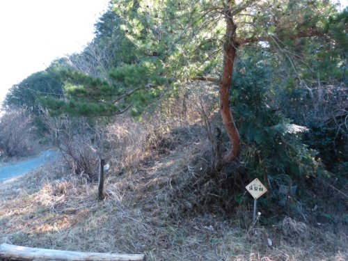 画像16